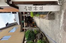 Takayama old town walking tour with local guide