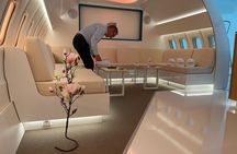 60-minute flight in Airbus A320 flight simulator in Berlin
