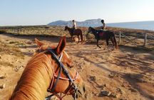 Horseback riding in Porto Ferro and Lake Baratz