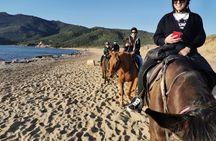 Horseback riding in Porto Ferro and Lake Baratz