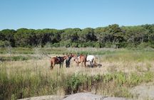 Horseback riding in Porto Ferro and Lake Baratz