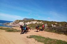 Horseback ride at Baratz Lake