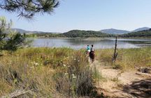 Horseback ride at Baratz Lake