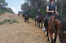 Horseback ride at Baratz Lake