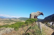Anglona guided tour from Castelsardo