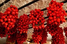 Small Group Guided Tour of Pompeii with Vesuvius Wine and Food Tasting