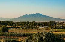 Small Group Guided Tour of Pompeii with Vesuvius Wine and Food Tasting