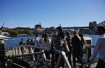 Sydney Harbour discovery lunch cruise