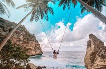 Nusa Penida Island private 1-day tour