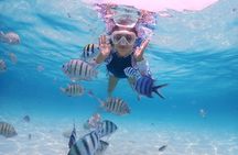 Blue Lagoon snorkeling and Tegenungan waterfall visit 1-day tour