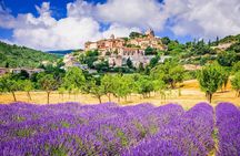 Sault lavender fields full-day guided tour from Avignon