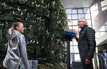 Wonders of Iceland and Aurora show at the Perlan