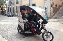 360 pedicab tour of Lyon with Guignol museum visit