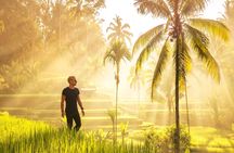 Best of Central Bali and Kintamani private day tour
