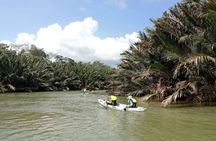 Lebam river kayaking adventure