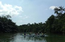 Lebam river kayaking adventure