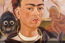 Frida Kahlo and Diego Rivera's legacy private tour with tickets to three museums