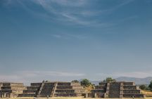 Teotihuacan pyramids and Shrine of Guadalupe private tour with optional lunch