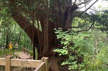 Takayama hiking tour from Gifu