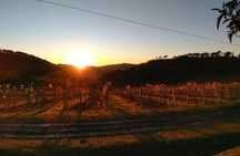 Chianti sunset excursion with wine tasting and optional dinner
