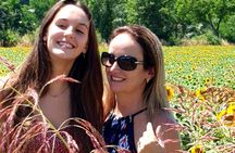 Chianti sunset excursion with wine tasting and optional dinner