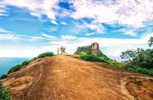 Guided half-day Tijuca forest express hike