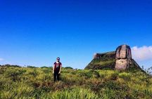 Guided half-day Tijuca forest express hike