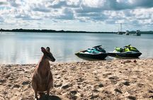 1.5-hour Gold Coast jet ski safari riding experience