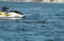 30-minute Gold Coast jet ski safari