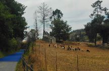 Ecopista do Dão full-day bike tour from Coimbra