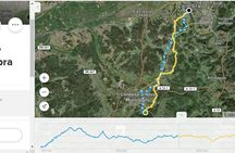 Bike tour to Conimbriga Roman Ruins from Coimbra