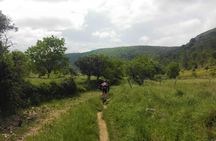 Bike tour to Conimbriga Roman Ruins from Coimbra