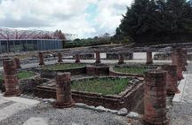 Bike tour to Conimbriga Roman Ruins from Coimbra