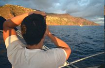 Private sunset cruise  and snorkeling from Madeira