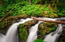 Olympic National Park self-guided driving audio tour