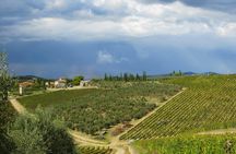 Siena, San Gimignano and Monteriggioni trip from Florence