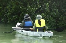 Lebam river kayaking adventure