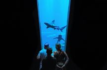 Skip-the-line ticket to Nausicaá aquarium