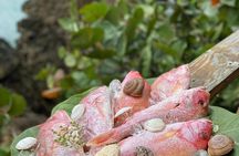 Half-day Dominican culinary tour with transportation