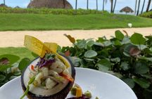 Half-day Dominican culinary tour with transportation