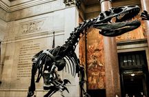New York American Museum of Natural History and In App Audio Tour