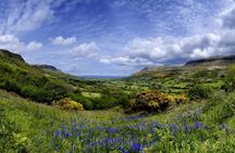 Titanic Experience and Giant's Causeway tour from Belfast