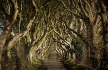 Giants Causeway, Dunluce castle, Dark Hedges tour from Dublin
