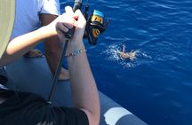 Fishing experience and brunch on Brac and Solta island from Split