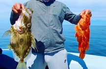 Fishing experience and brunch on Brac and Solta island from Split