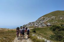 Lovćen private hiking tour