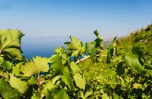 Korčula town and Pelješac vineyards private tour from Dubrovnik