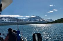 Polar fjord with fishing all inclusive cruise from Tromsø
