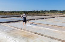 Figueira da Foz, rice paddies and saline pans excursion from Coimbra