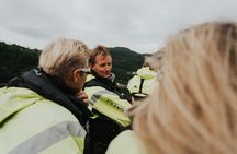 Basic fjord safari from Øystese